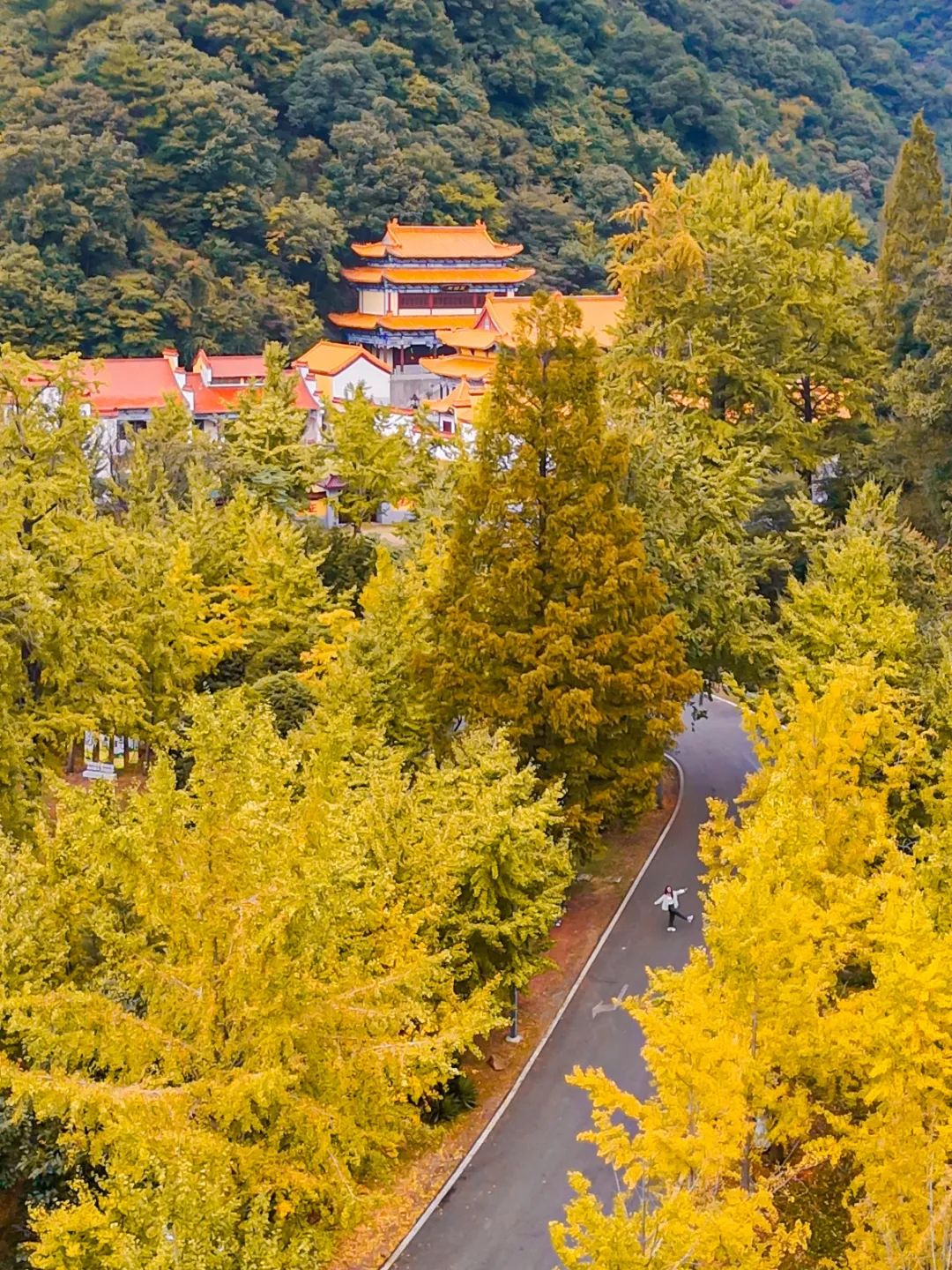 随州大洪山风景图片