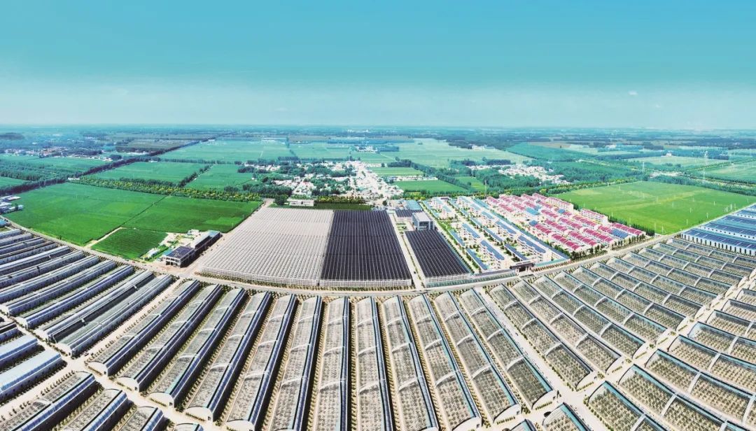 茌平区乐平铺镇小刘庄村.阳谷县图书馆新馆拥有藏书12万余册.