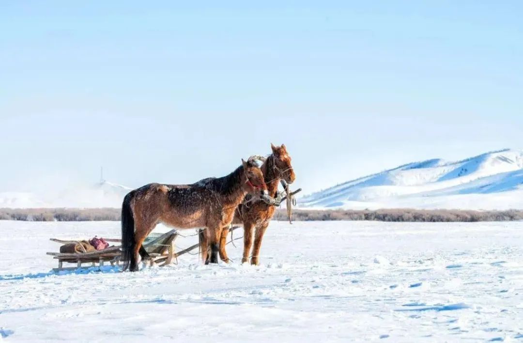 这一次，不能不去漠河了！