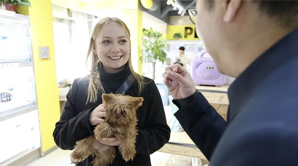 【最新资讯】"外眼看鞍山" 外籍师生走进鞍山宠物市场