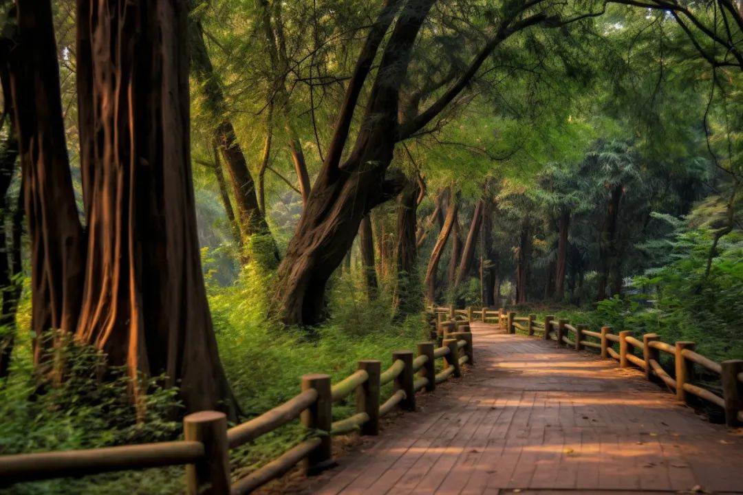 湖州德清旅游必去十大景点,诗画德清10大好玩景点推荐,你去过几个?