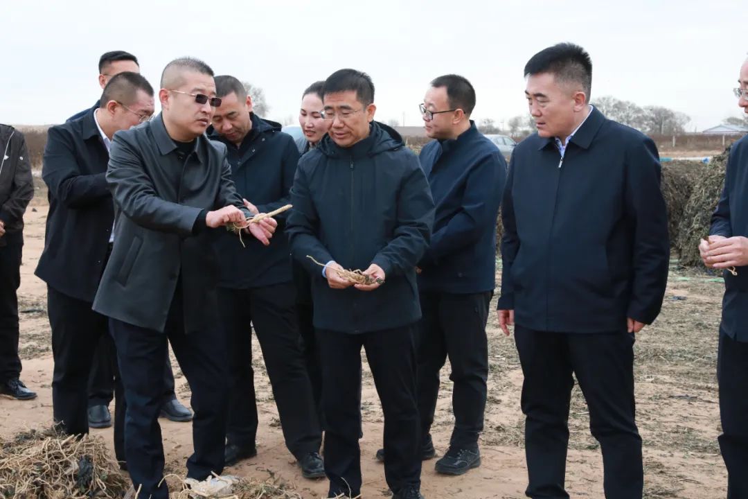 鄂托克前旗人民政府领导班子"四下基层"调研敖勒召其镇,城川镇