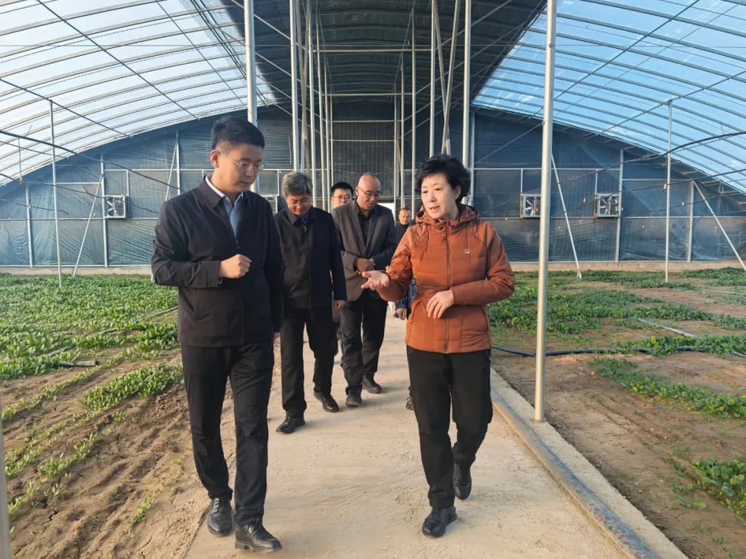 何伟在张掖市开展乡村振兴和爱心甘肃联系帮扶工作_澎湃号·政务_澎湃新闻-The Paper