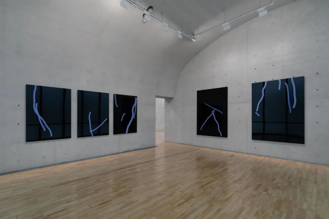 LONG文章 | 王郁洋讲述最新个展“绘画”