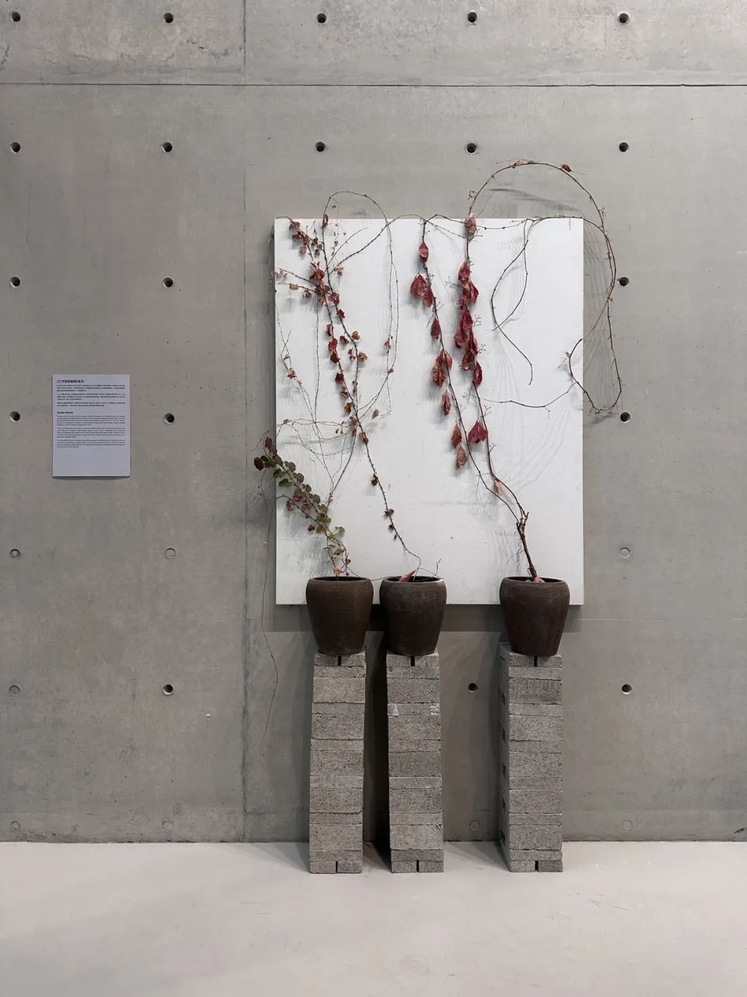 LONG文章 | 王郁洋讲述最新个展“绘画”