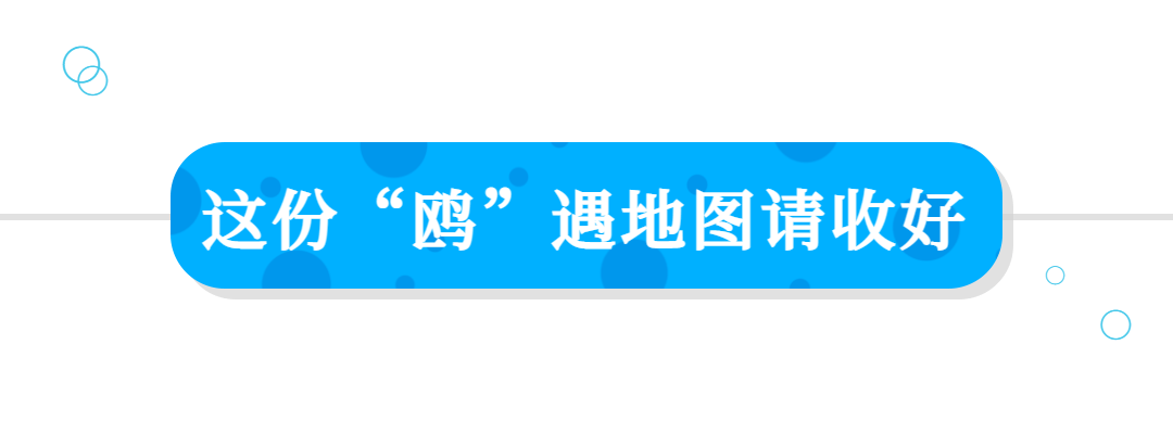 初冬，秦皇岛送您一份“鸥”遇地图