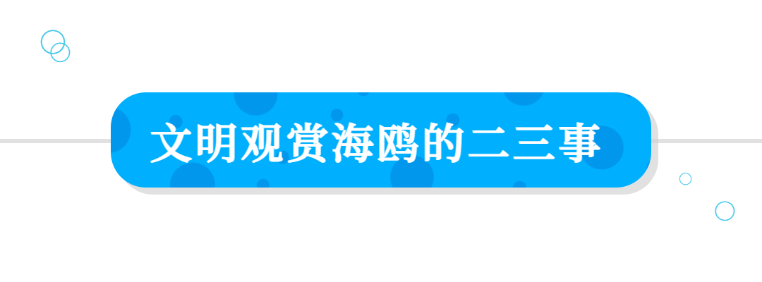 初冬，秦皇岛送您一份“鸥”遇地图