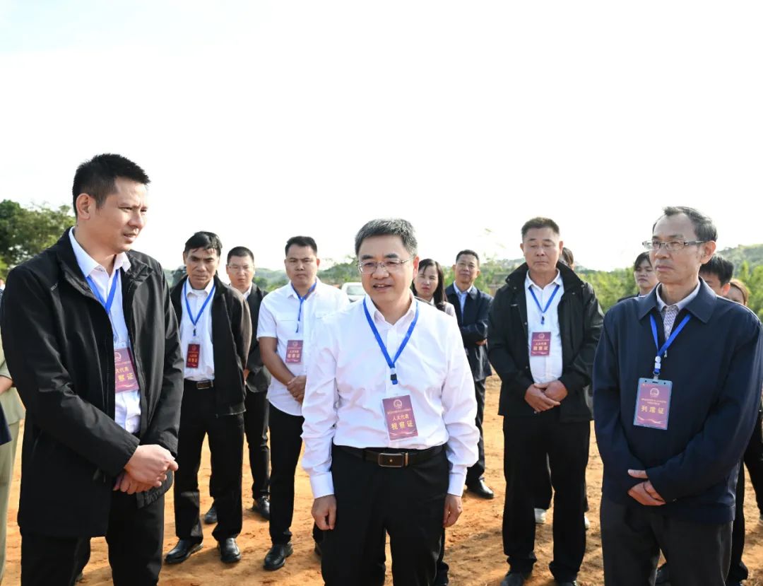 市长王雄昌以全国,自治区,钦州市三级人大代表身份到浦北县三合镇