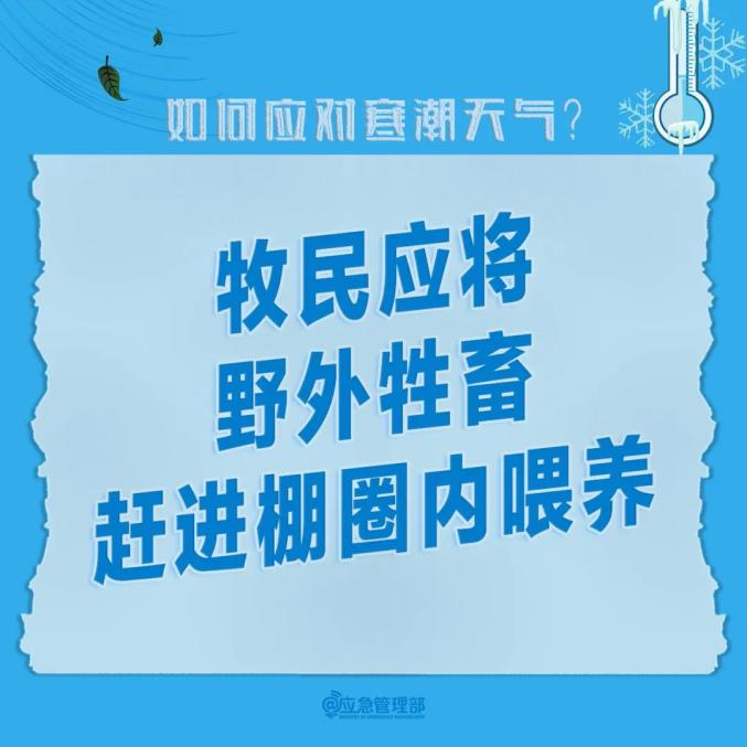 大暴雪,降温16℃以上!寒潮继续东移南下→_澎湃号·政务_澎湃新闻-The Paper