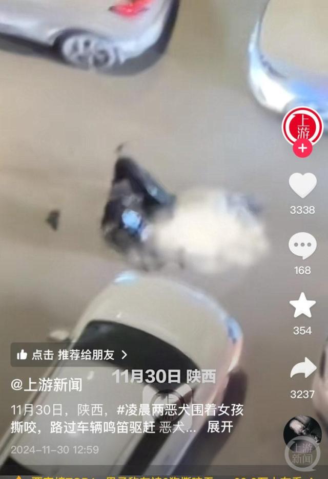 两只大型犬围咬一女子被路过车辆驱赶，知情者：狗主人已接受调查