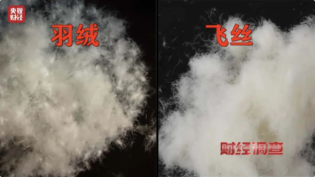很多人冬季必备！央视曝光：都是假的