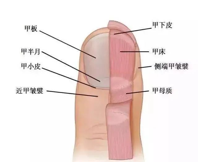很解压,但危害特别多的一个行为,很多人都有