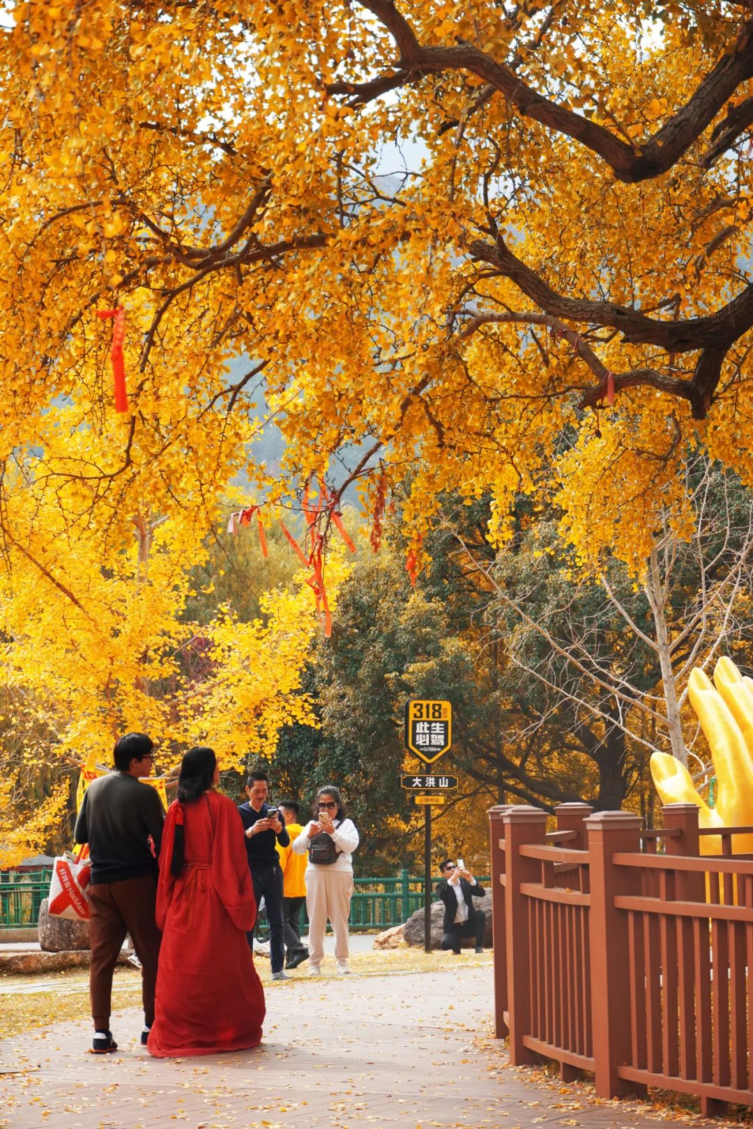 随州大洪山风景区图片图片