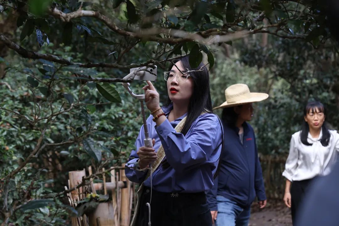 “普洱真是一个宝藏城市，在这里生活很舒服！”——“幸福就在这里”主题参访团感受和体验普洱“幸福指数”