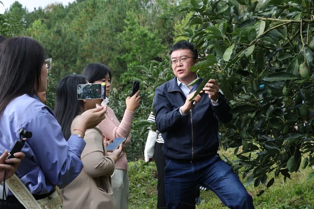 “普洱真是一个宝藏城市，在这里生活很舒服！”——“幸福就在这里”主题参访团感受和体验普洱“幸福指数”