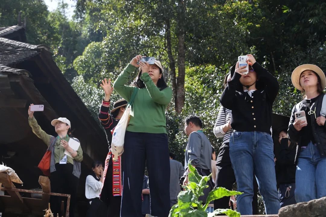 “普洱真是一个宝藏城市，在这里生活很舒服！”——“幸福就在这里”主题参访团感受和体验普洱“幸福指数”