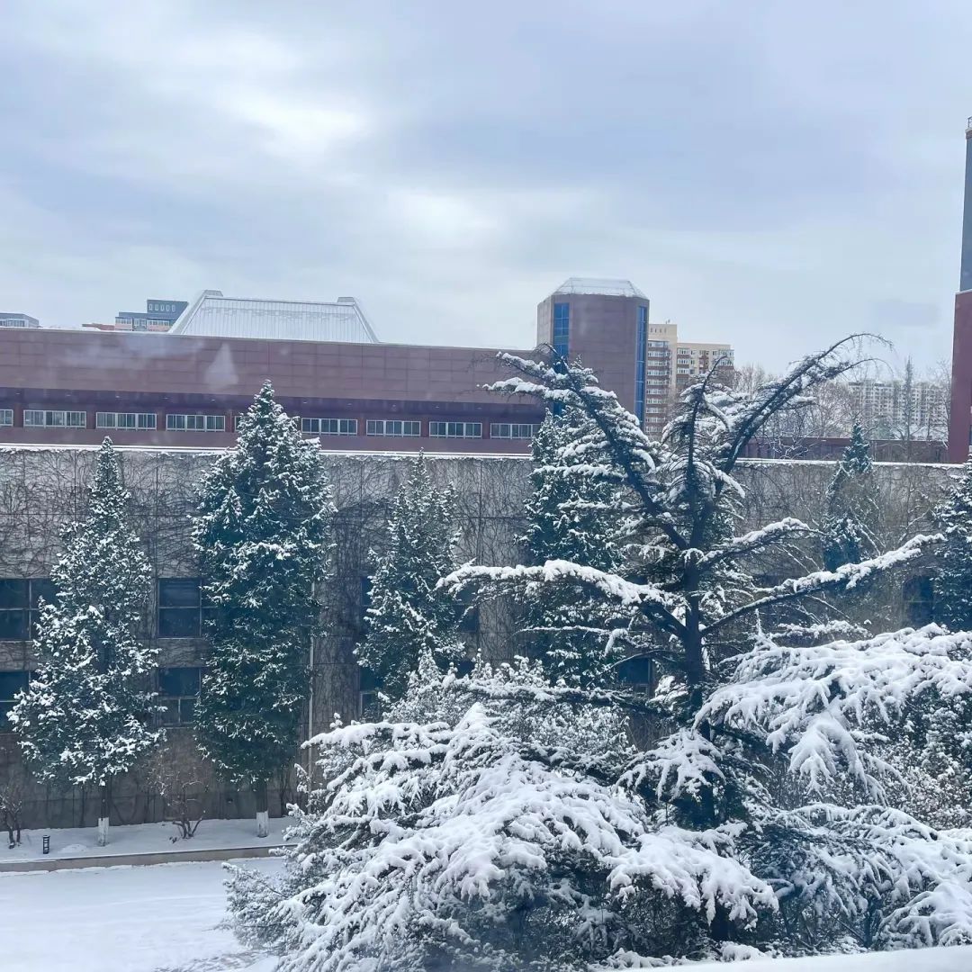 承德医学院雪景图片