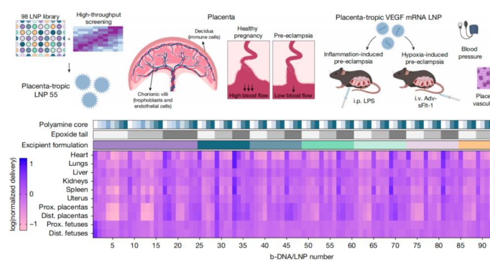 转氨酶升高意味着什么？ALT、AST、ALP、GGT究竟怎么看？_澎湃号·湃客_澎湃新闻-The Paper