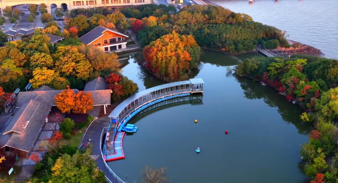 是上海最大湿地森林,层林尽染,五彩斑斓