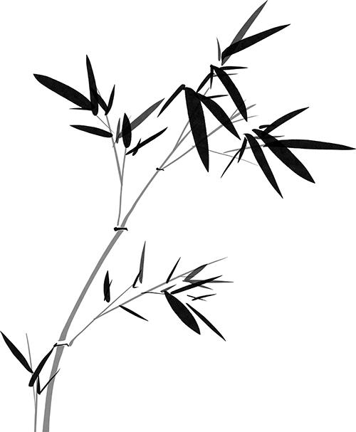 液门穴:解锁你的活力密码