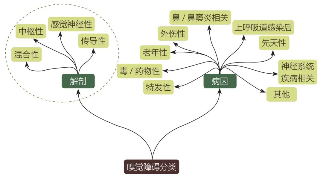 闻气味错误图片