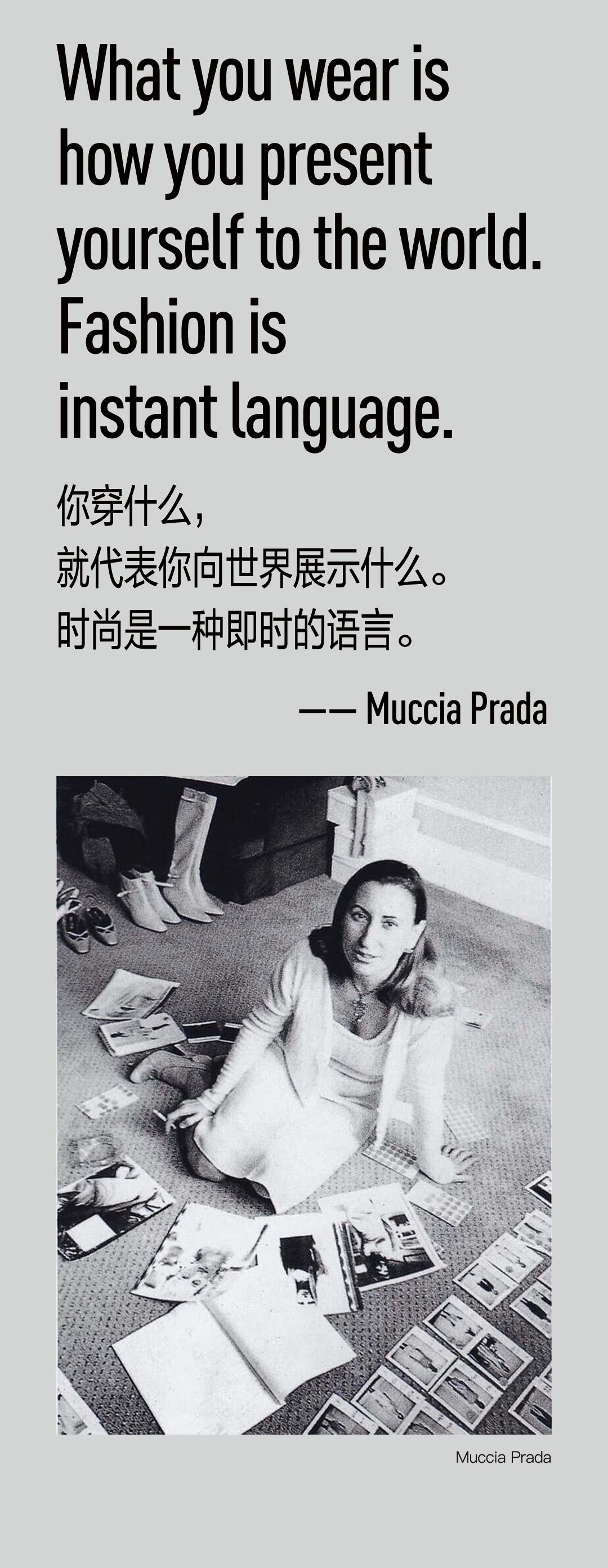 透视挂
