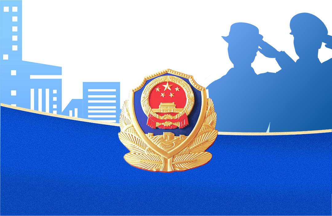 警察节丨致敬人民法院司法警察!