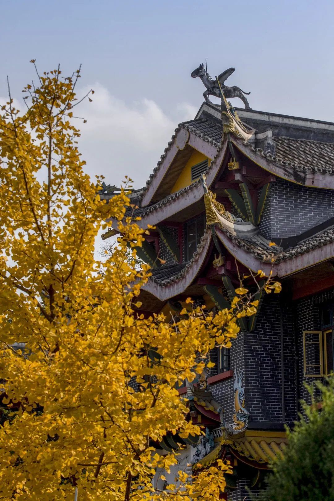 寒假来临,你从川大带啥回家?