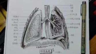 切肺之前，我拿出当年临摹的解剖图学习了一下