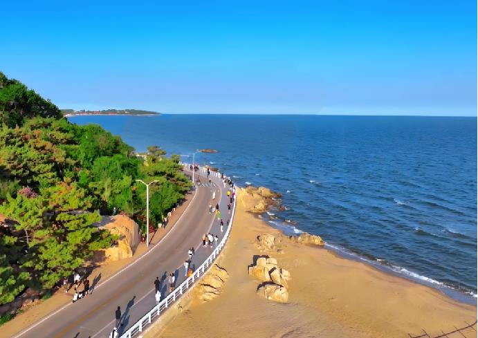 环海公路——西伯利亚的海鸥从不失约