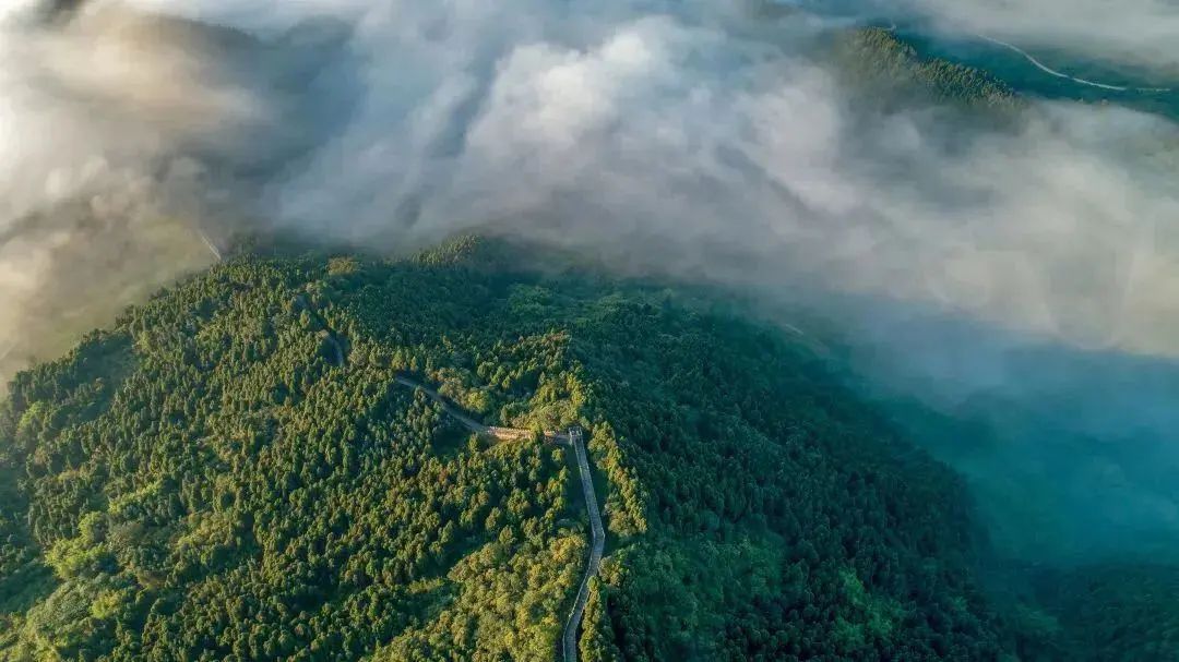 你了解龙泉山吗？《我是龙泉山》带你重新认识她……