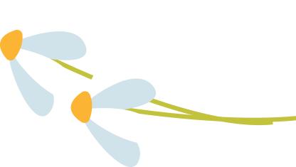 東華大學微信影響力排行榜_東華大學十二月熱文榜_上海東華大學研究生院官網