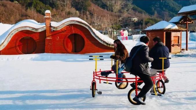 4.94亿元！栾川数据公布