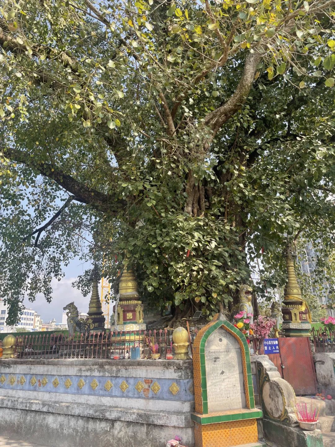 西南边陲走走停停
