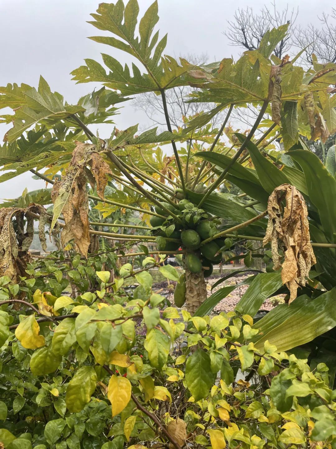 西南边陲走走停停
