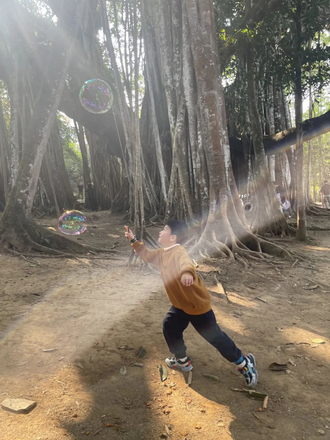 西南边陲走走停停