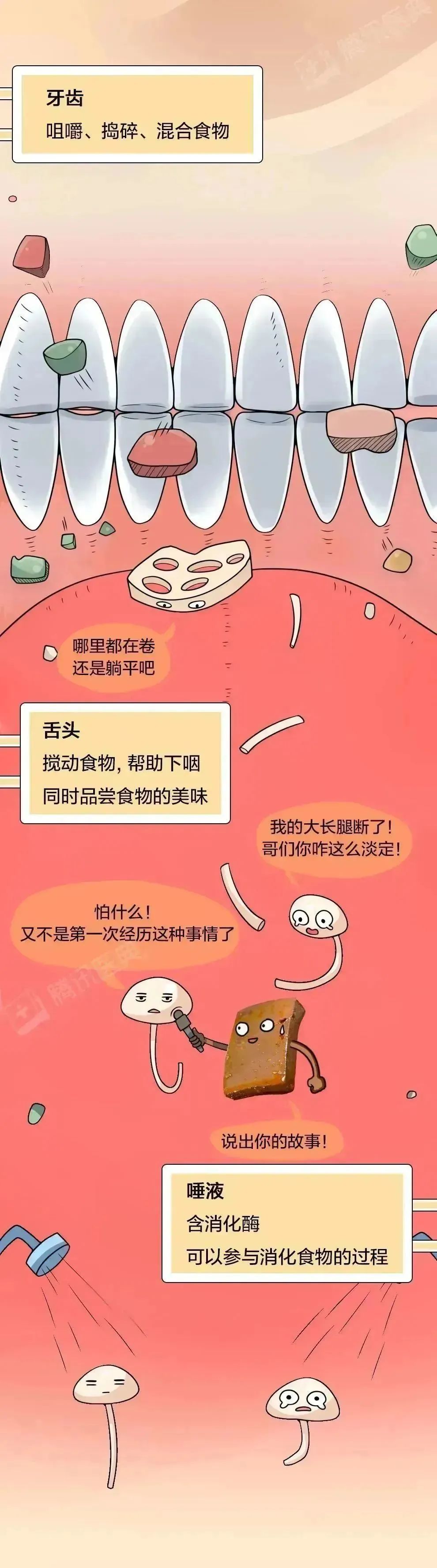 为什么金针菇吃下去，第二天会出现在便便里？