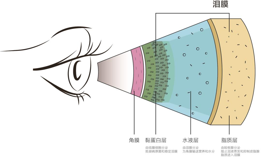 偏爱女性的5种眼部疾病，做好这些就能预防