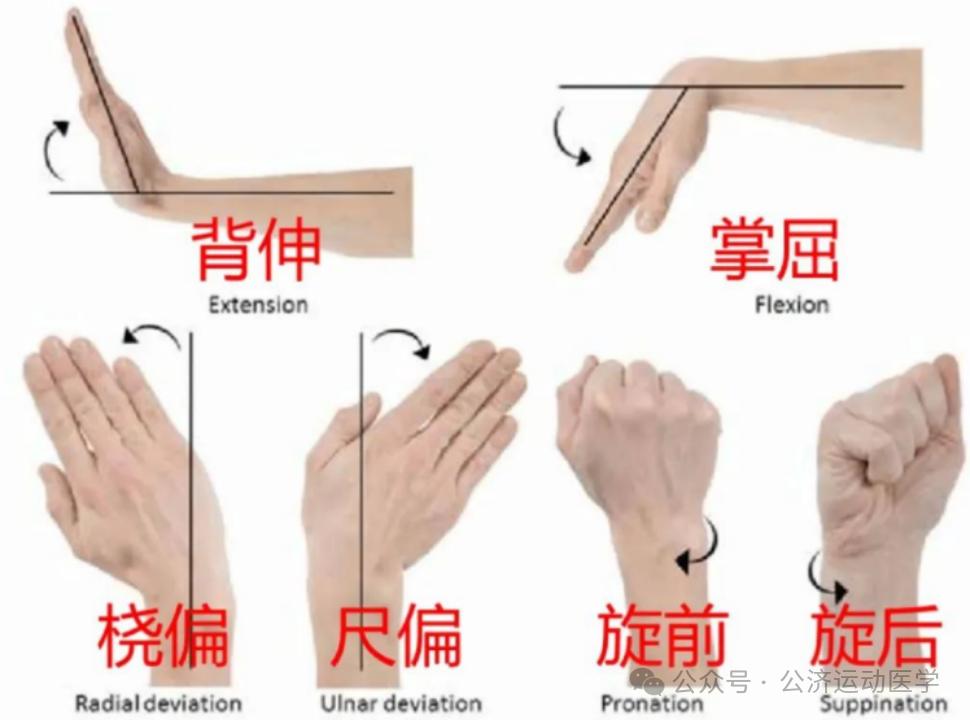 怎么调节cpm康复机康复——肘腕｜肘关节清理和松解术术后康复程序_https://www.jmylbn.com_新闻资讯_第9张