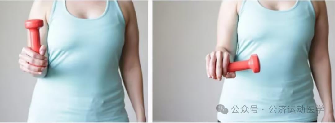 怎么调节cpm康复机康复——肘腕｜肘关节清理和松解术术后康复程序_https://www.jmylbn.com_新闻资讯_第13张