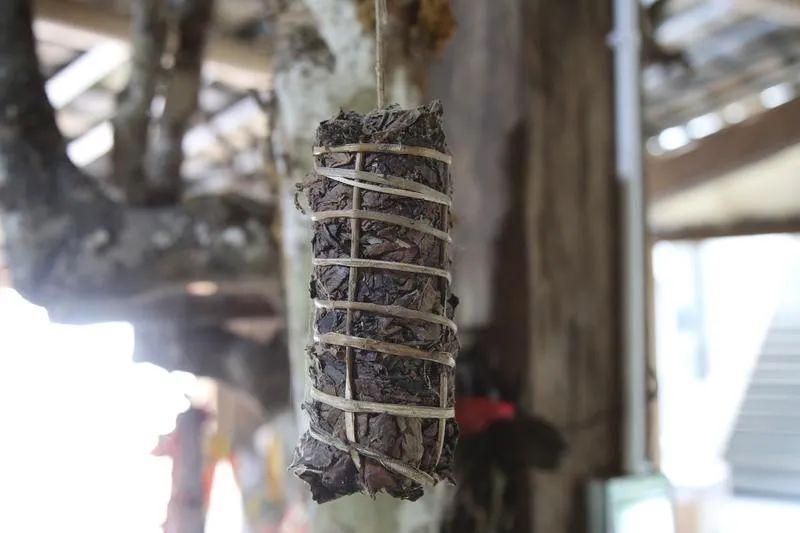 世界的普洱·中国的茶——普洱景迈山茶｜非遗技艺制茶 赋能茶产业发展
