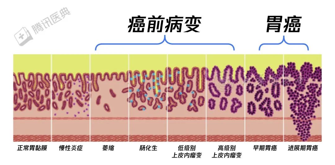 弓代芹 第5页