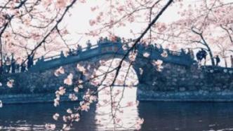 機(jī)器人強(qiáng)勢(shì)入駐文旅市場(chǎng)｜私家周歷