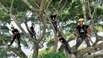 满世界找树爬的人，到底图啥