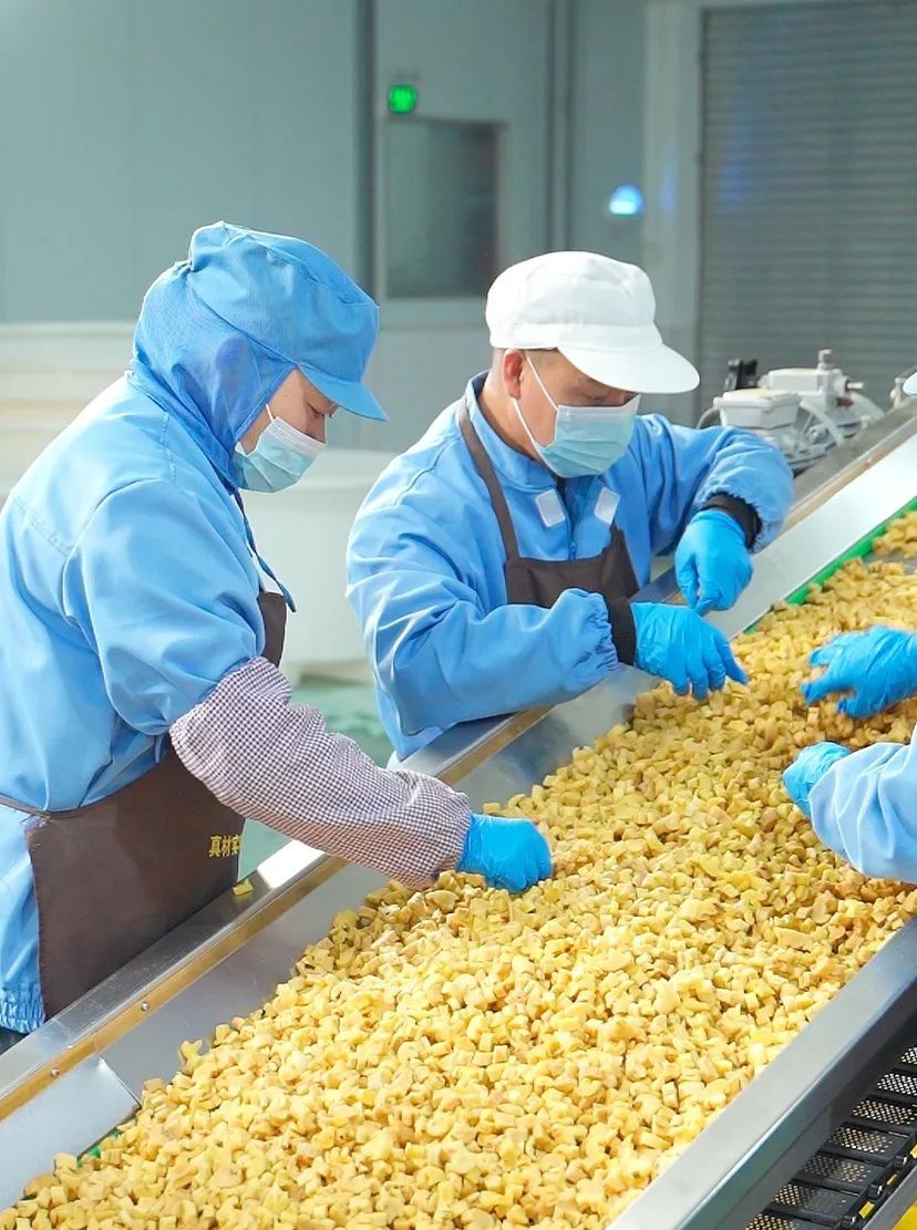 连续两年销售破亿!温江这款小小萝卜干凭的是什么?