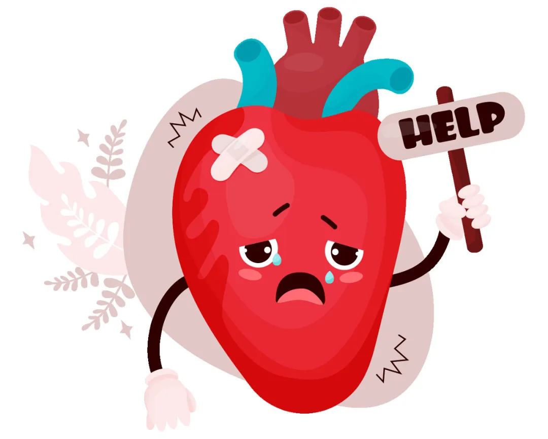 典型表现慢性心力衰竭根据发生部位不同,可分为左心衰竭,右心衰竭和全