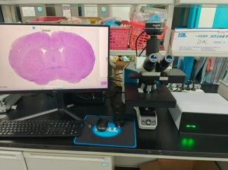 FISH怎么诊断CTC【企业资讯】明美显微成像解决方案：免疫细胞疗法与癌症研究的得力助手_https://www.jmylbn.com_新闻资讯_第6张