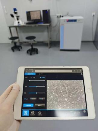 FISH怎么诊断CTC【企业资讯】明美显微成像解决方案：免疫细胞疗法与癌症研究的得力助手_https://www.jmylbn.com_新闻资讯_第8张