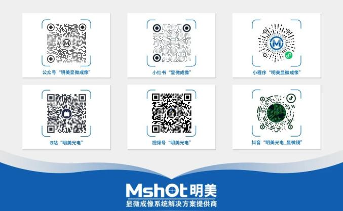 FISH怎么诊断CTC【企业资讯】明美显微成像解决方案：免疫细胞疗法与癌症研究的得力助手_https://www.jmylbn.com_新闻资讯_第12张