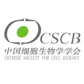 FISH怎么诊断CTC【企业资讯】明美显微成像解决方案：免疫细胞疗法与癌症研究的得力助手_https://www.jmylbn.com_新闻资讯_第13张